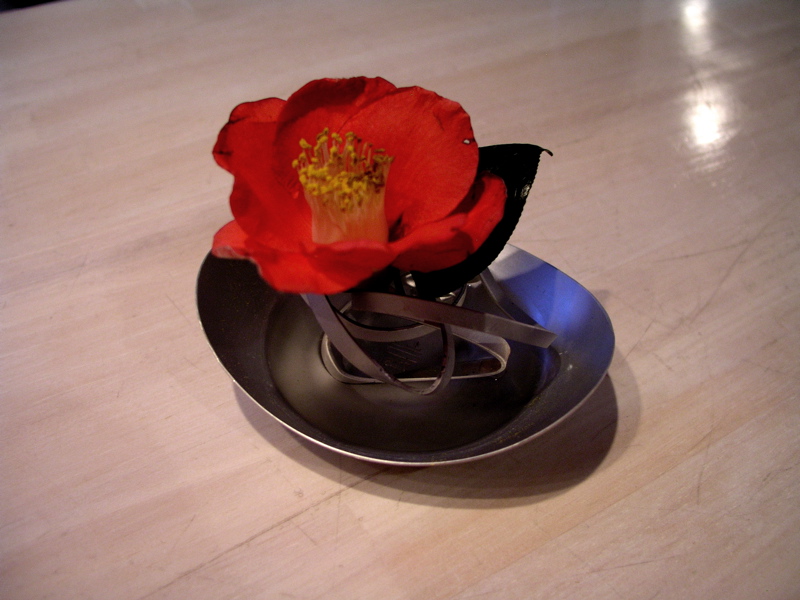 P1010040.JPG