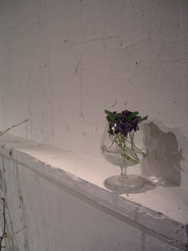 P1010059.JPG