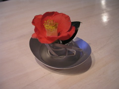 P1010040.JPG