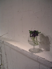 P1010059.JPG